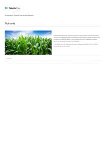 Potash / Agriculture / Canpotex / Potassium / Uralkali / Chemistry / Economy of Canada / Fertilizers