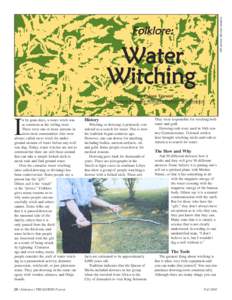 Witches / Culture / Dowsing / Wand / Rod