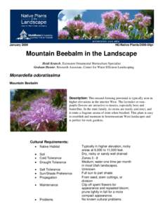 Microsoft Word - mountainbeebalm4-15