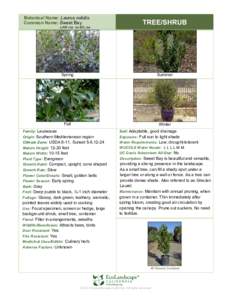 Botanical Name: Laurus nobilis Common Name: Sweet Bay LAW-rus no-BIL-iss TREE/SHRUB