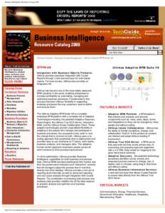 Business Intelligence Resource Catalog 2008