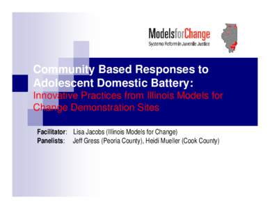 Peoria /  Illinois / Ronald Reagan Trail / Cook County /  Illinois / Juvenile court / Juvenile Justice and Delinquency Prevention Act / DuPage County /  Illinois / Domestic violence / Adolescence / Geography of the United States / Geography of Illinois / Illinois / Peoria metropolitan area