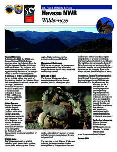 U.S. Fish & Wildlife Service  Havasu NWR Wilderness  Havasu Wilderness