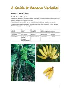 Microsoft Word - Banana Replacement Options for Darwin Feb 15 V1