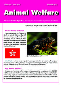 Volume No. 1 Issue No. 4  November 2010 Animal Welfare Veterinary Bulletin - Agriculture, Fisheries and Conservation Department Newsletter