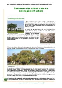 MCE ; Colloque régional « Autour de l’Arbre » du 22 novembre 2011 ; Exposé de Pierre Bazin, Bureau d’étude Aubépine à Rennes  Conserver des arbres dans un