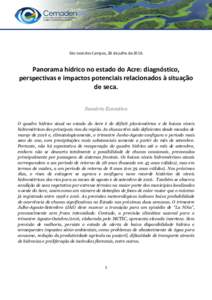 São José dos Campos, 28 de julho dePanorama hídrico no estado do Acre: diagnóstico, perspectivas e impactos potenciais relacionados à situação de seca. Sumário Executivo