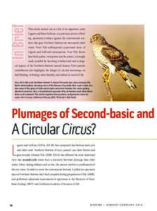 This article started out as a bit of an argument. Jerry Liguori and Brian Sullivan, in a previous article in Birding, presented evidence against the conventional wisdom that gray Northern Harriers are necessarily older m