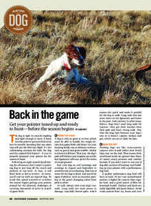 Get your pointer tuned up and ready to hunt—before the season begins By Alan Davy T  he dog is rigid, its muscles rippling