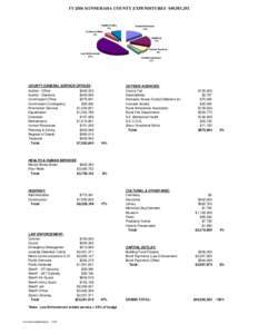 FY 2006 MINNEHAHA COUNTY EXPENDITURES $49,583,292  Capital Outlay 8% Cultural & Misc. 4%