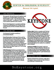 Keystone Pipeline / Environmental risks of the Keystone XL pipeline / Oil sands / Keystone / Canadian Association of Petroleum Producers / Enbridge Northern Gateway Pipelines / Soft matter / Infrastructure / Petroleum
