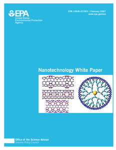 US EPA: ORD: Nanotechnology White Paper, 2007