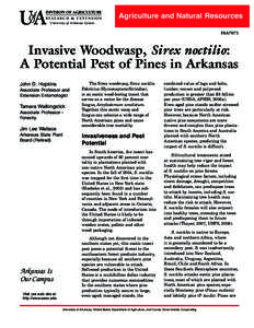 Invasive Woodwasp, Sirex noctilio: A Potential Pest of Pines in Arkansas - FSA7071