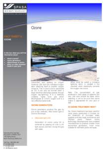 Information Technology Solutions  Ozone FACT SHEET 8 OZONE