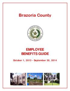 7  Brazoria County EMPLOYEE BENEFITS GUIDE