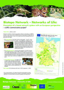 Biotope Network – Networks of Life. Promotion of a Forest Network with an European Perspective