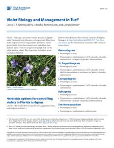 ENH1235  Violet Biology and Management in Turf1 Darcy E. P. Telenko, Barry J. Brecke, Ramon Leon, and J. Bryan Unruh2  Violets (Viola spp.) are diverse winter annuals and perennials. Perennials form rhizomes or long stol