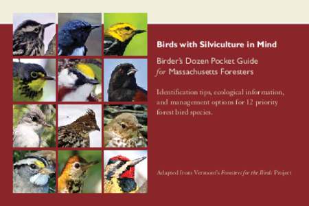 Birds with Silviculture in Mind Birder’s Dozen Pocket Guide for Massachusetts Foresters Identification tips, ecological information, and management options for 12 priority