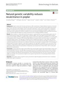 Natural genetic variability reduces recalcitrance in poplar