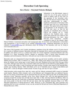 Horsehoe Crab Spawning  Horseshoe Crab Spawning Steve Doctor – Maryland Fisheries Biologist Springtime in the Mid-Atlantic means it is time for one of the great marvels of