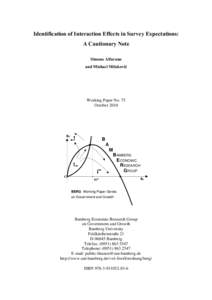 Identification of Interaction Effects in Survey Expectations: A Cautionary Note Simone Alfarano and Mishael Milaković  Working Paper No. 75