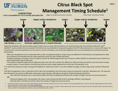 Citrus Black Spot Management Timing Schedule1 Fungicide Timing Fruit is susceptible for 5 to 6 months post-petal fall