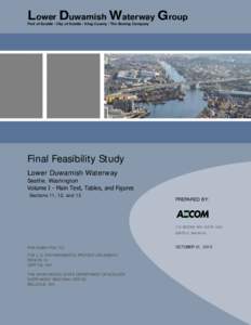 Lower Duwamish Waterway Group Port of Seattle / City of Seattle / King County / The Boeing Company Final Feasibility Study Lower Duwamish Waterway