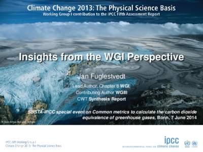 Insights from the WGI Perspective Jan Fuglestvedt Lead Author, Chapter 8 WGI, Contributing Author WGIII CWT Synthesis Report SBSTA-IPCC special event on Common metrics to calculate the carbon dioxide