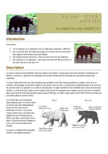 factsheet_grizzly_bear_fr