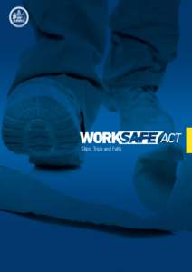 Slips, Trips and Falls  Disclaimer This Guide provides general information about the obligations of persons conducting a business or undertaking and/or persons in control of premises and workers under the Work Safety Ac