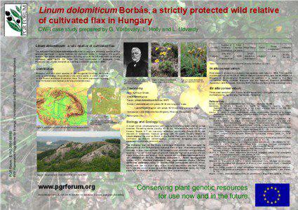 Linum dolomiticum Borbás, a strictly protected wild relative of cultivated flax in Hungary CWR case study prepared by G. Vörösváry, L. Holly and L. Udvardy