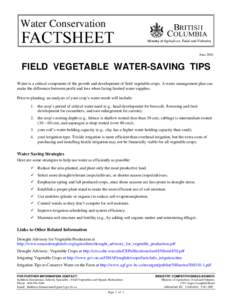 Field Vegetable Water-Saving Tips