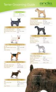 Terrier Grooming Guide All Styles Sanitary Prep 10, 15