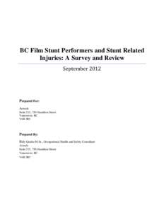 stunt research report  final[removed]_2_x