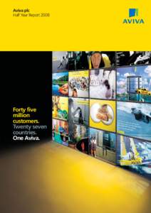 Aviva plc Half Year Report 2008