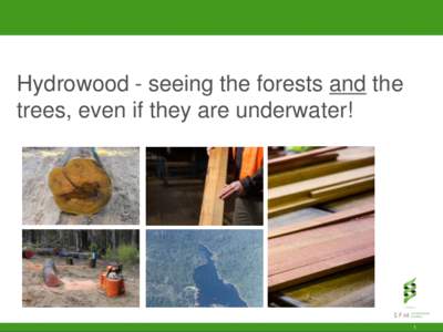 Hydrowood - seeing the forests and the trees, even if they are underwater! 1  SFM Environmental Solutions