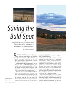 Saving the Bald Spot Reynolds Prairie, a historic and sacred mountain meadow, is threatened by development. By Bernie Hunhoff