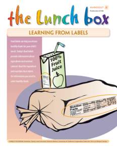 the Lunch bo boxx Handout B