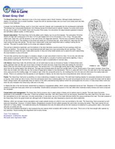 Great Gray Owl: Wildlife Notebook Series - Alaska Department of Fish and Game