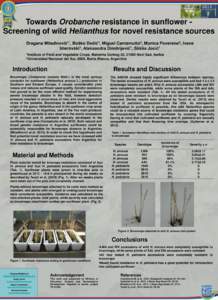 Towards Orobanche resistance in sunflower Screening of wild Helianthus for novel resistance sources Dragana Miladinović1*, Boško Dedić1, Miguel Cantamutto2, Monica Poverene2, IvanaImerovski , Aleksandra Dimitri