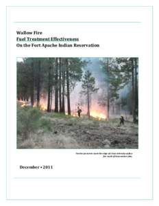 Fuel Treatment Effectiveness on the Wallow Fire on the Fort Apache Indian Reservation  Wallow Fire Fuel Treatment Effectiveness On the Fort Apache Indian Reservation