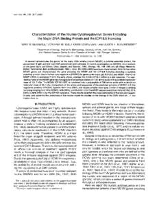 Characterization of the murine cytomegalovirus genes encoding the major DNA binding protein and the ICP18.5 homolog