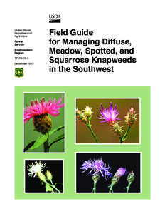 Field Guide for Managing Diffuse, Meadow, Spotted, and Squarrose Knapweeds in the Southwest