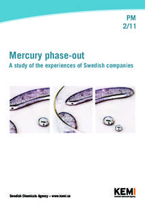 PM 2/11 Mercury phase-out A study of the experiences of Swedish companies