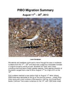 PIBO Migration Summary August 11th – 20th, 2013 Least Sandpiper  Shorebirds and swallows continued to move through the area in moderate