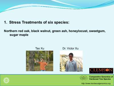 1.  Stress Treatments of six species: Northern red oak, black walnut, green ash, honeylocust, sweetgum, sugar maple Tao Xu