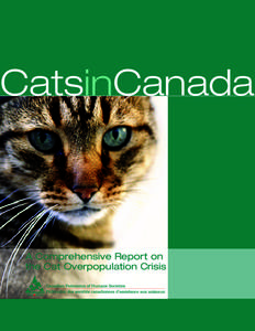 CatsinCanada  A Comprehensive Report on the Cat Overpopulation Crisis  © 2012