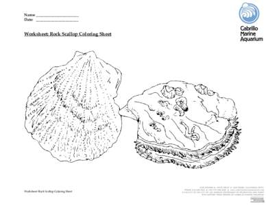 Name: _______________________ Date: _______________________ Worksheet: Rock Scallop Coloring Sheet  Worksheet: Rock Scallop Coloring Sheet