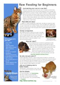 Raw Feeding for Beginners  “ Just starting your cat on a raw diet? There are many easy ways to start your cat on a healthy raw diet. Many