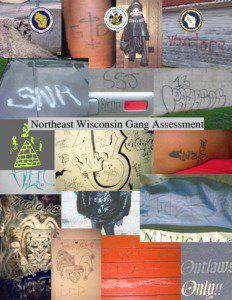Northeast Wisconsin Gang Assessment  TABLE OF CONTENTS